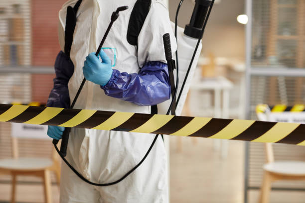 Professional Biohazard technician working in Acton, ME